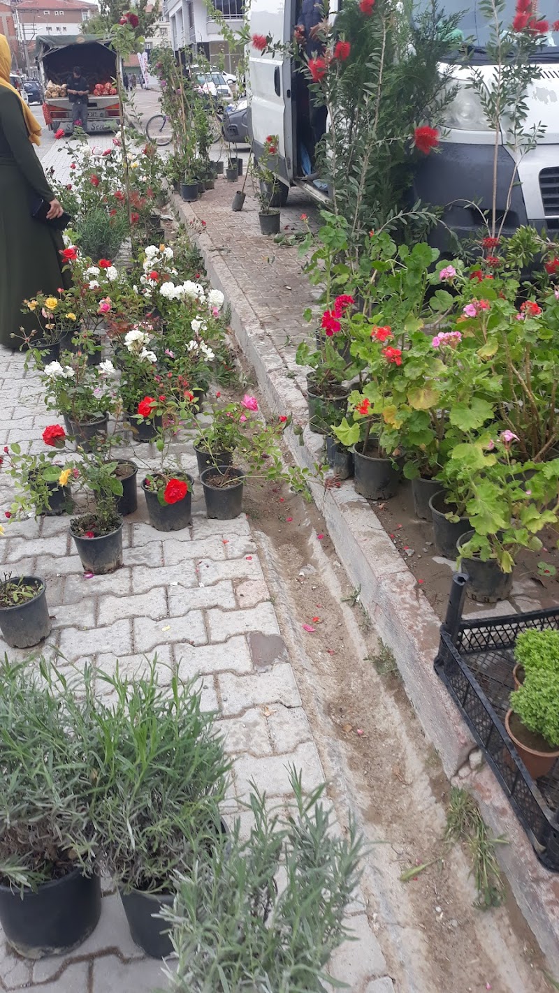 Yenibahar Ekmek Fabrikasi