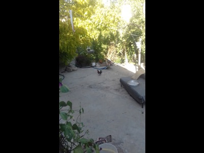 Karaarslan Fırını